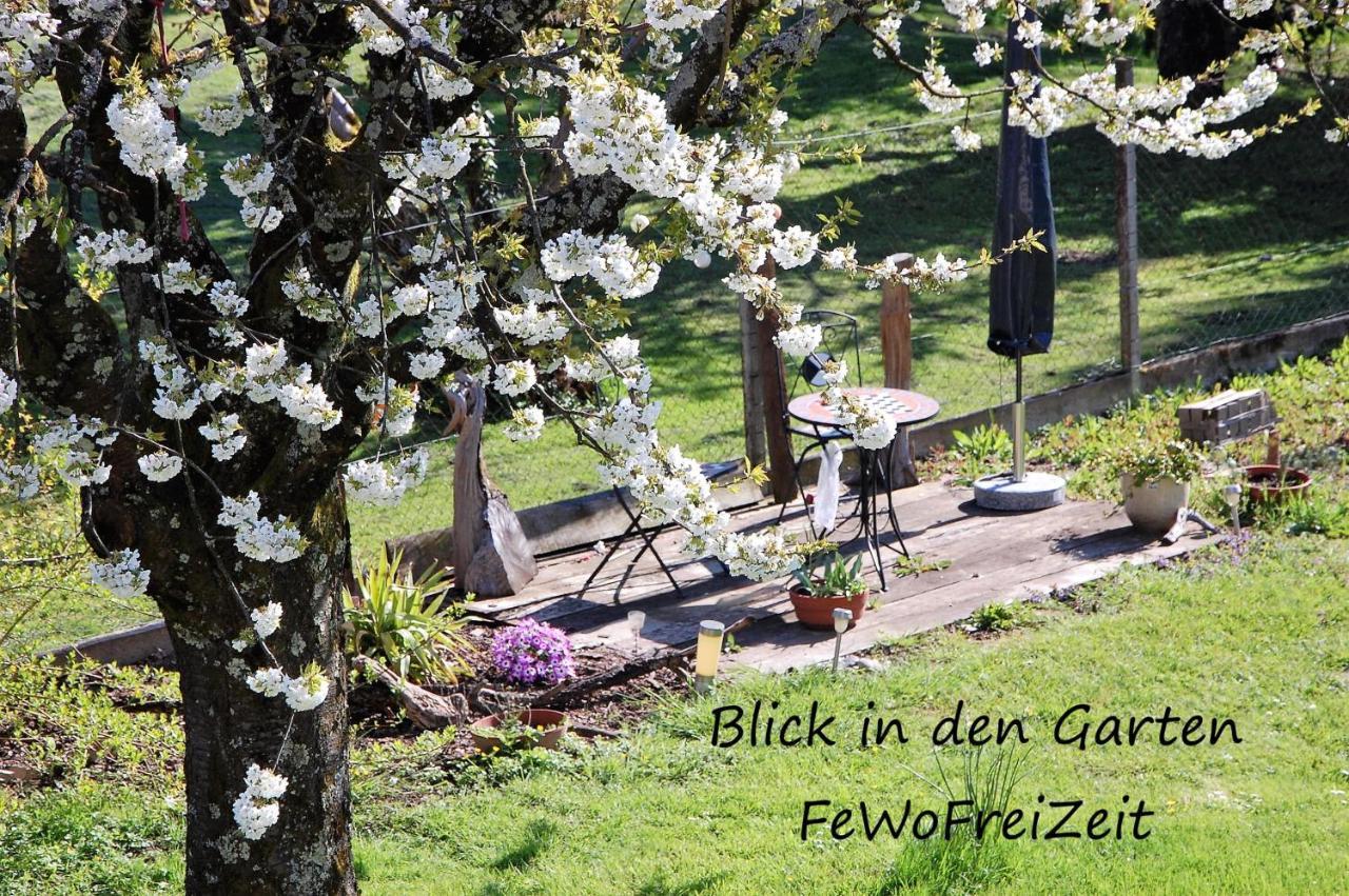 Fewofreizeit Rheinau Exteriér fotografie