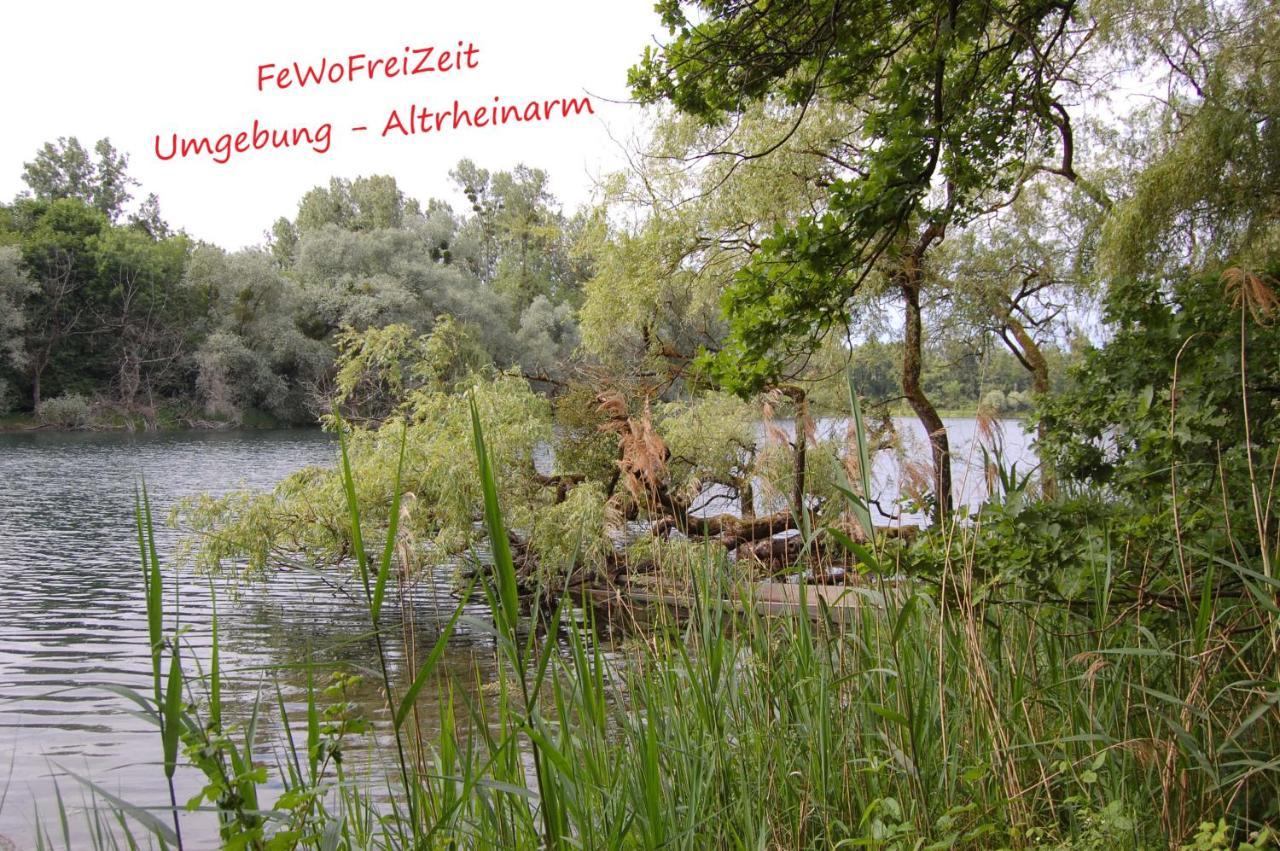 Fewofreizeit Rheinau Exteriér fotografie
