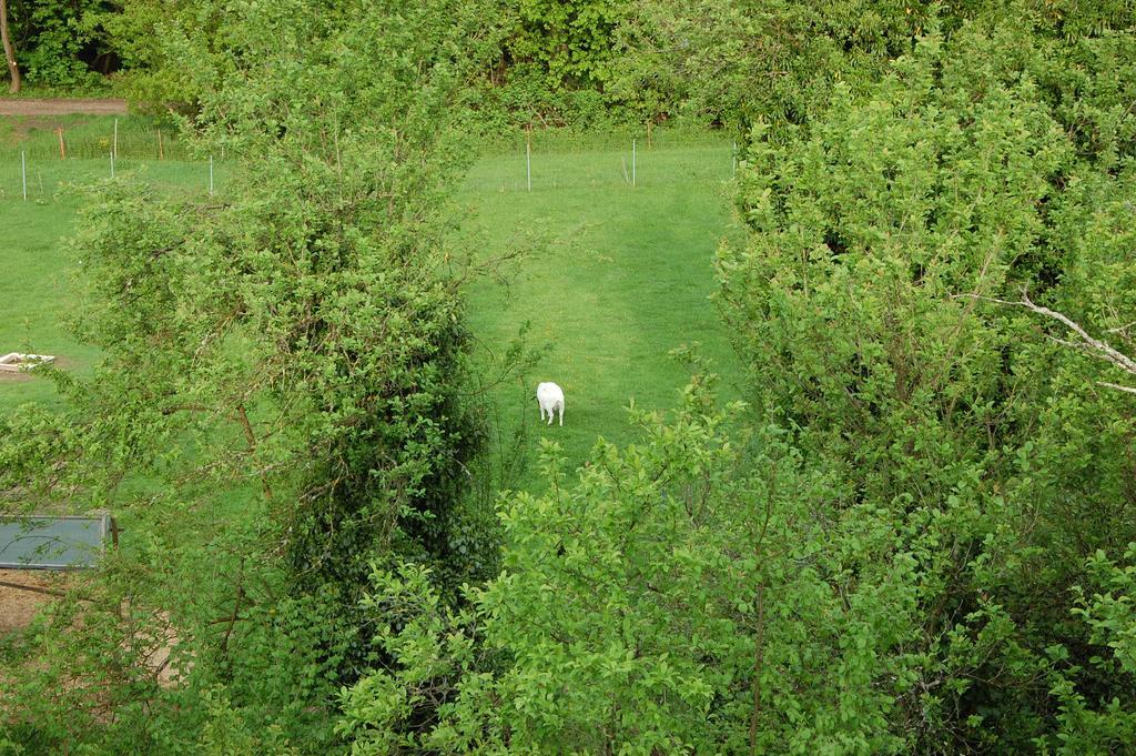 Fewofreizeit Rheinau Exteriér fotografie